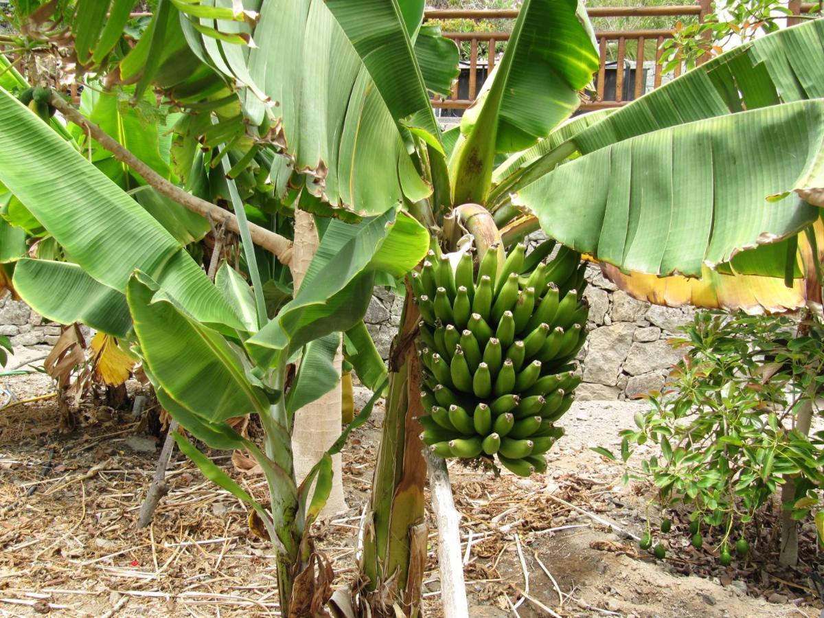 Finca El Moral 푸에르토 데 모간 외부 사진